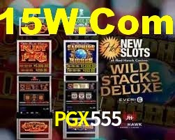 PGX555 App Interface