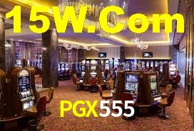 Programa VIP PGX555